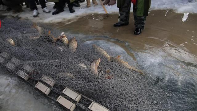 2026年巴里坤冰雪文化旅游季启幕，请收好这份游玩指南