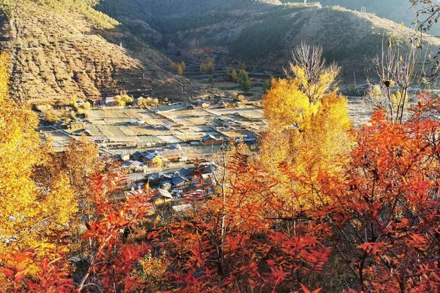 一年中最后一场华丽的秋色，鹤庆泸沽湖休闲5天游！11月底出发