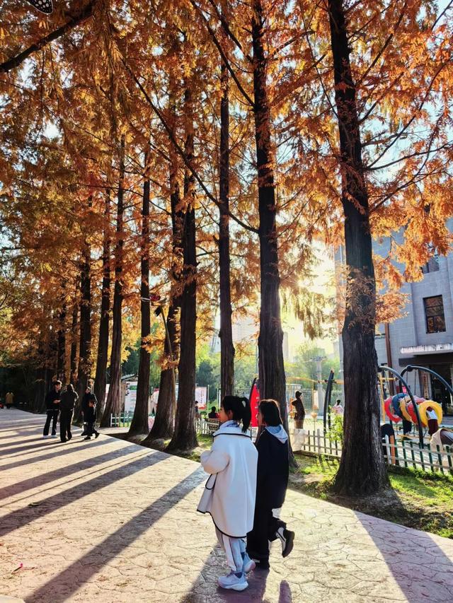 临夏秋日：在暖阳里邂逅街巷与公园的诗意