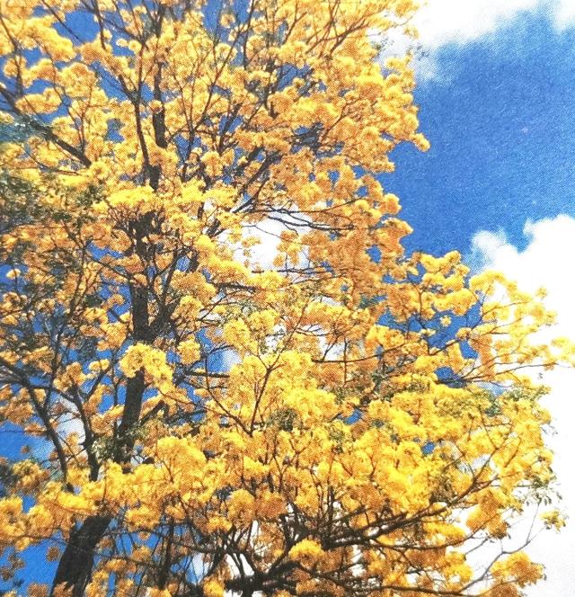 巍巍老城区,浓浓古风情