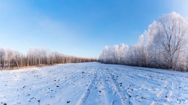 今冬最冷时间表出炉，何时最冷？2026年春节冷不冷？早看早知道