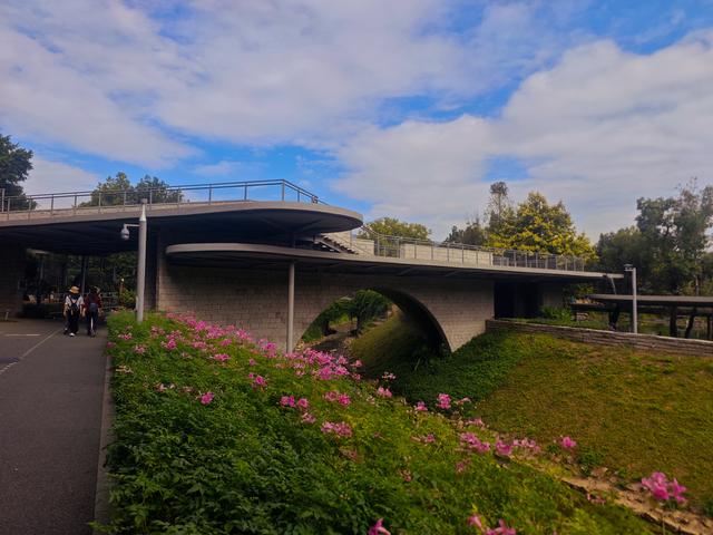 环西丽湖绿道骑行慢行随拍-动个好奇心