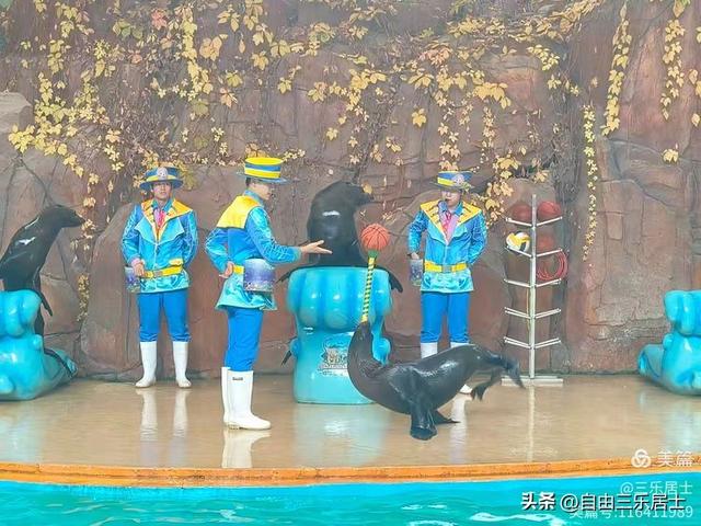 常州中华恐龙园游记