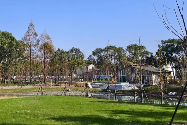 横沔公园成新晋网红打卡点，浦东5座新公园新年齐亮相