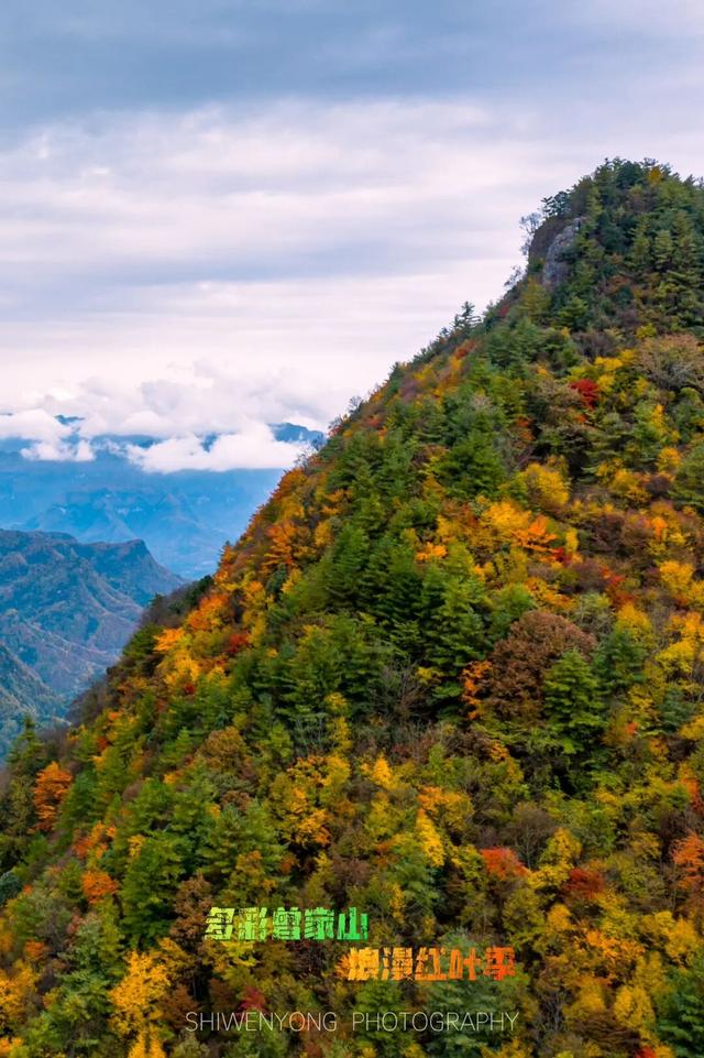 广元不远 周末优选 | 初露染山河，广元发来一份秋日邀请函