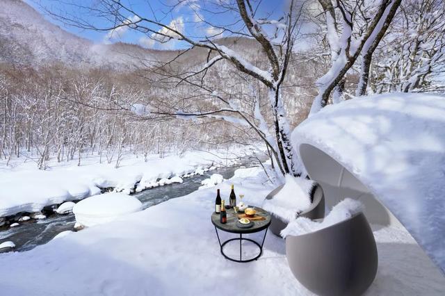 2025星野集团发布会，"玩转星野" 引领旅宿新风向