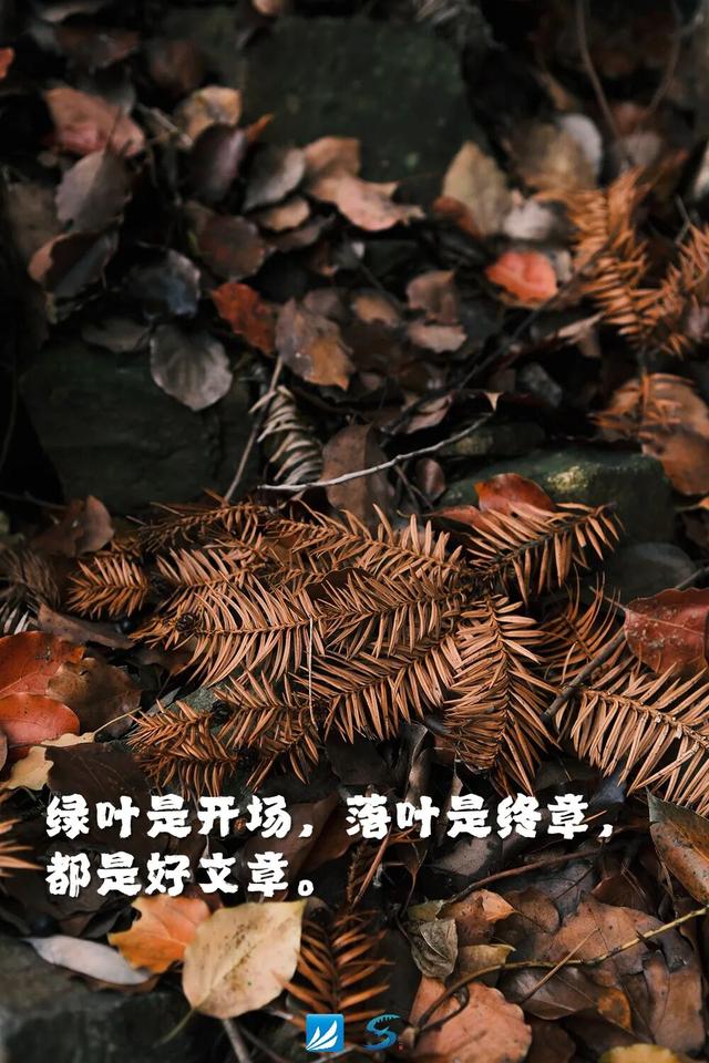 起猛了！萧山怎么变样了？！