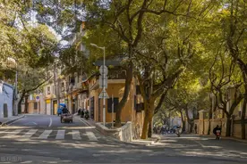 福建省福州市十大公园推荐，城市中的“森林精华”，点亮有福之州图片