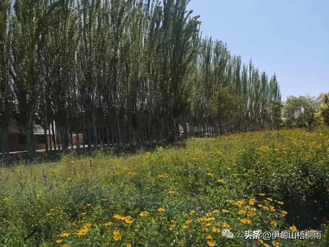 新疆之行（九）博乐，一座令人心动的宜居城市