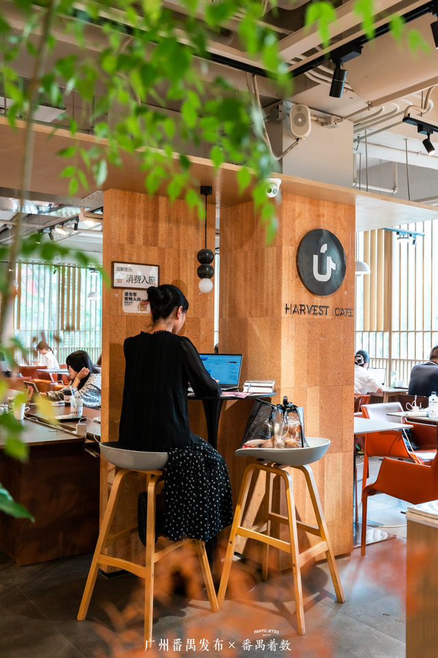 出片又治愈！跟着「书店漫游指南」打卡番禺阅读秘境