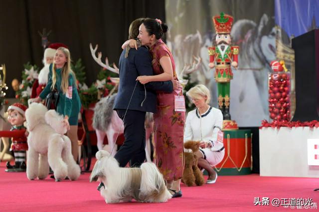 霍思燕穿旗袍携爱犬夺冠前凸后翘丰乳肥臀 难怪杜江对她生理性喜欢