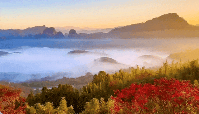 藏在大武夷的“云端大片”！绝美观云点+攻略，收藏出发！