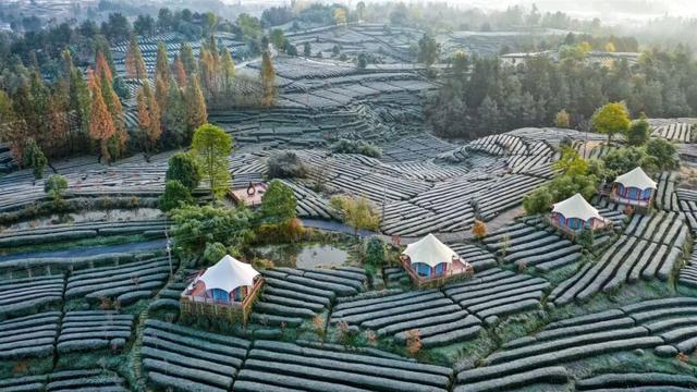 三场大戏+五大活动，宁强元旦狂欢倒计时！