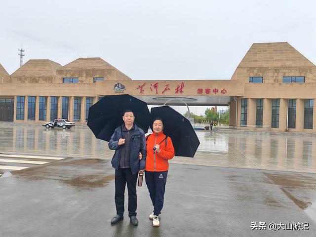 2025国庆西北自驾游（1）：黄河石林景区