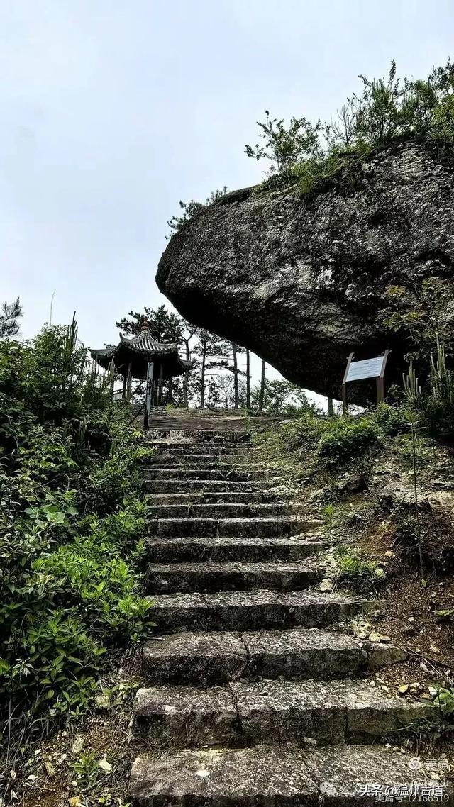 温州酷暑哪里有清凉,当然永嘉四海山!