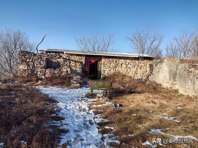 雪后初霁登顶嵯峨山，走荒野雪原，看千年悟空塔，感受历史的烟云