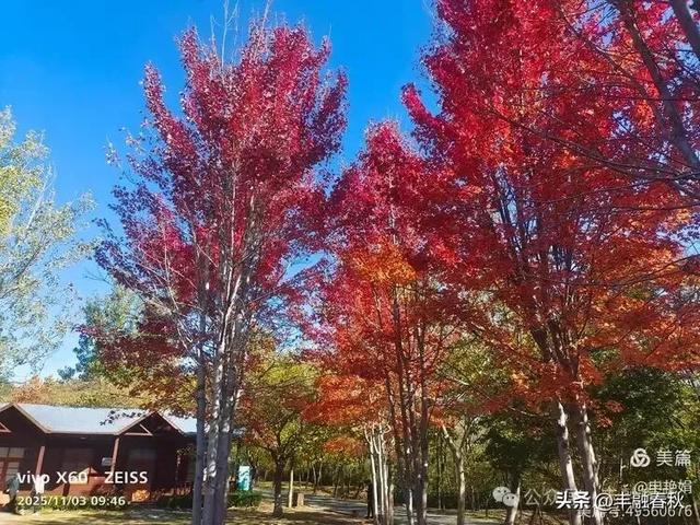 青岛即墨马山寻趣:一座地质公园的秋日私语|申艳娟