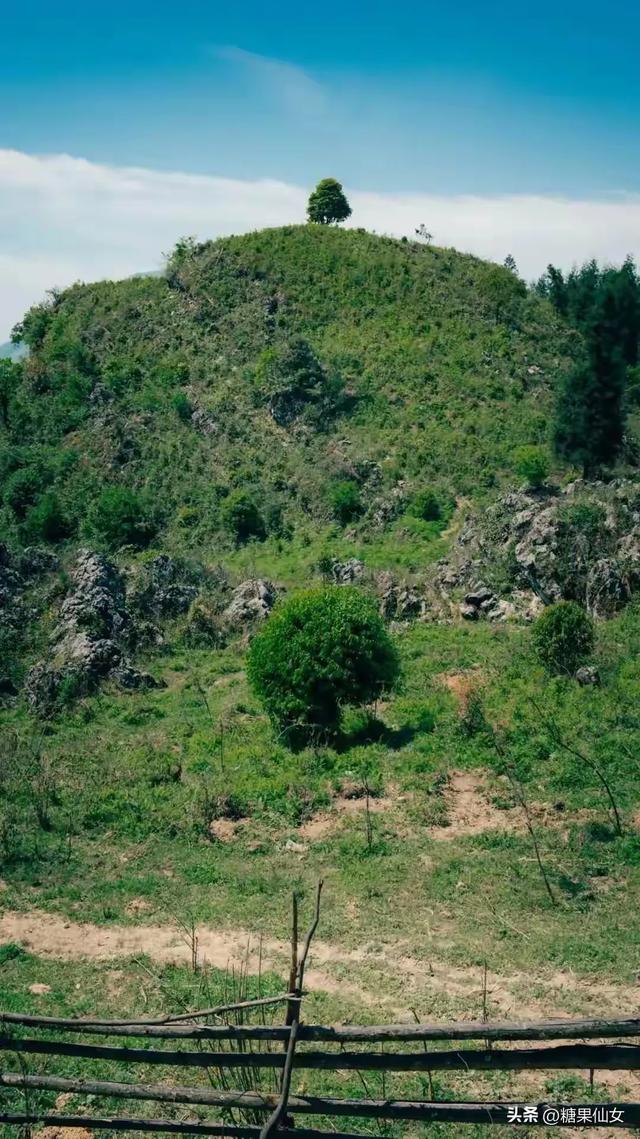 标题：成都1.5h神仙秘境！3处免费桃源，人少景绝还出片