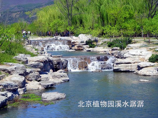 北京旅游：走进西山脚下的植物园（图）