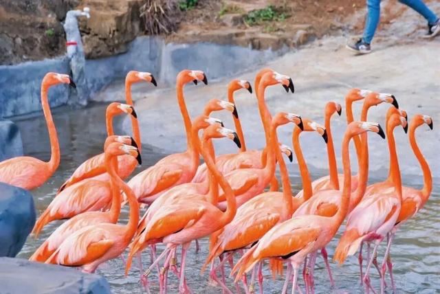 暖冬海口 入选避寒游热门目的地TOP10