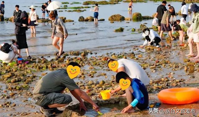 【乐游烟台】爆桶秘籍！烟台赶海zui全攻略速看→