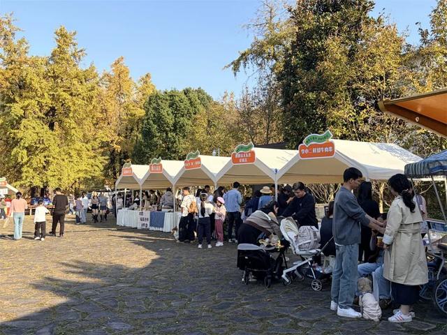 火爆！富阳这个村，超美超好逛！今明两天，招募！