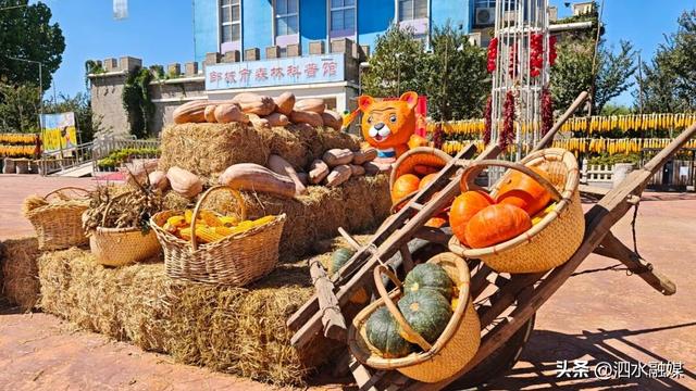 咔嚓🤳！抓住济宁秋天的“小尾巴”~