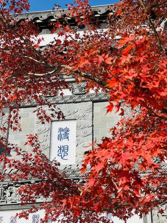 油画般的徐汇秋色，来了！