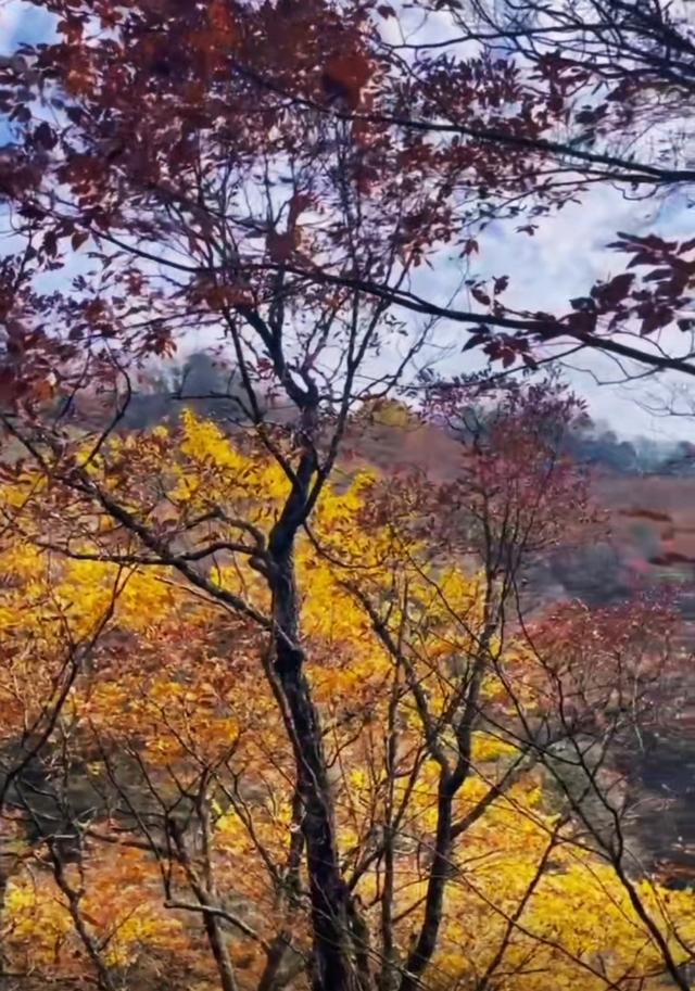 秋色最美光雾山