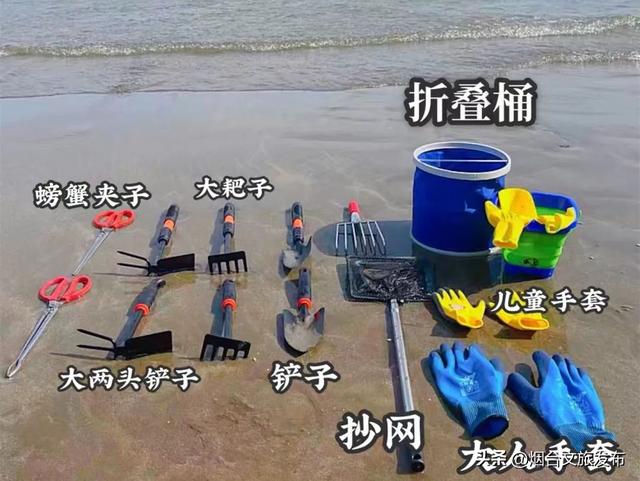 【乐游烟台】爆桶秘籍！烟台赶海zui全攻略速看→