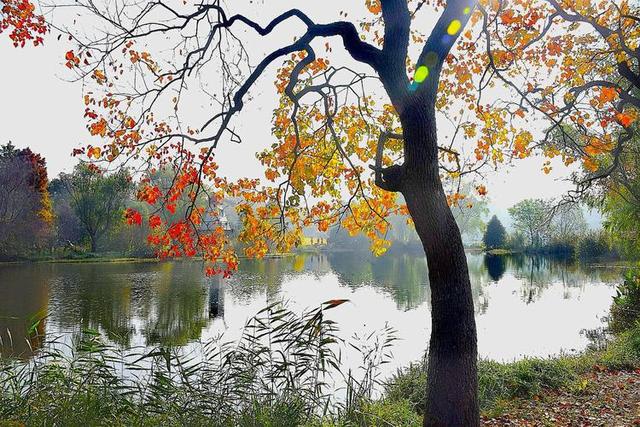 “白天立冬，暖烘烘；晚上立冬，冻死牛”	，今年立冬是几点？