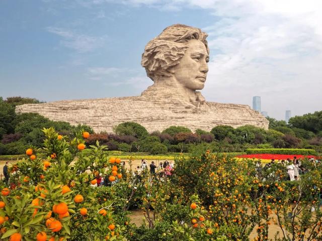 橘子洲，又见橘红染湘江