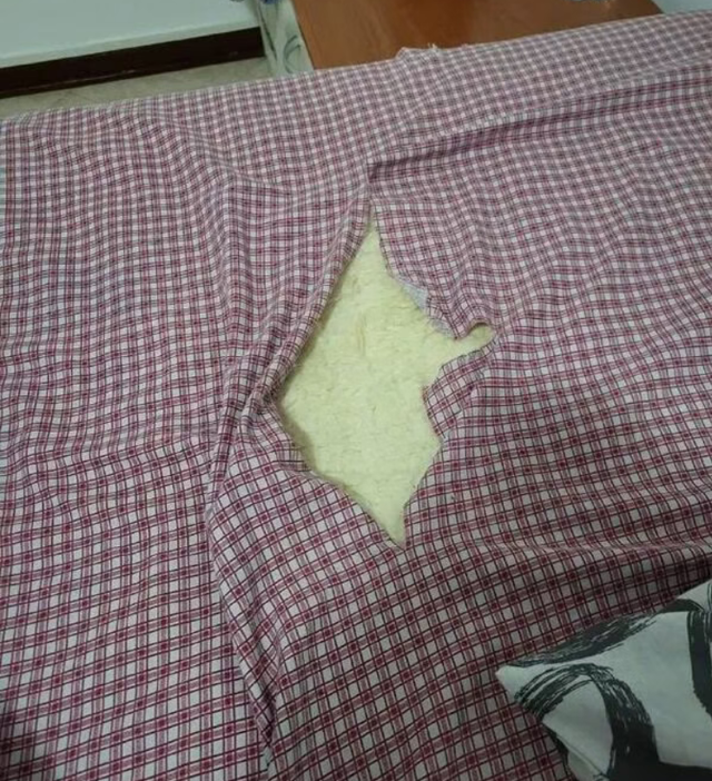 妹子吐槽床单质量不好，没用多久就破洞，网友笑疯：问问你家猫？