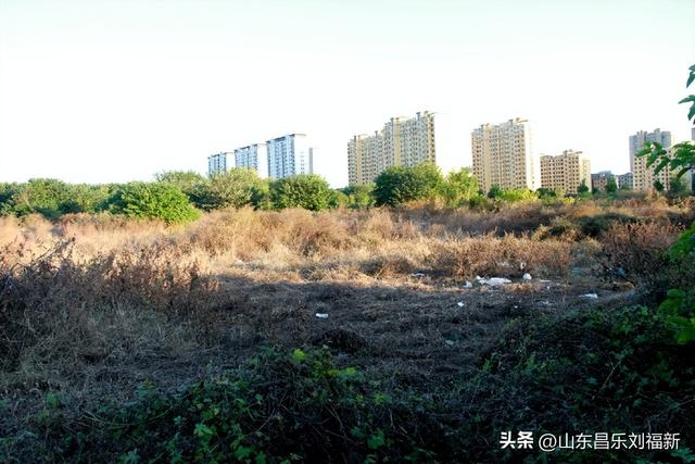 蓝天白云·径去西城拍片