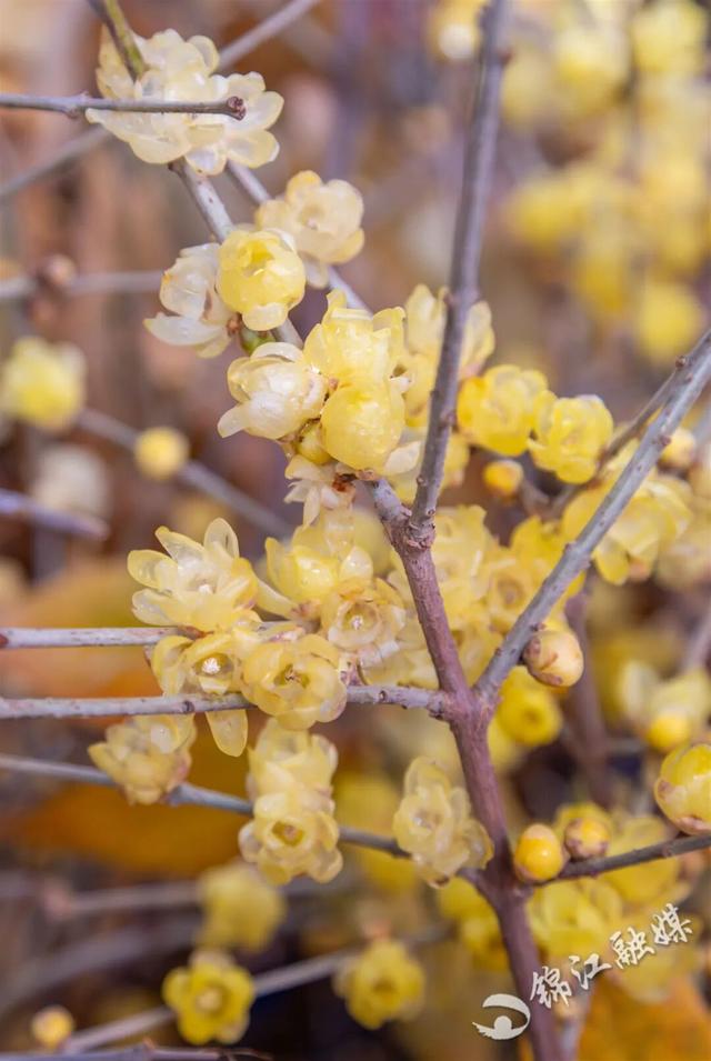 这一波是真香了！