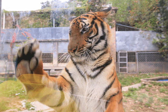 别卷作业了，卷卷大自然！韶关秋日研学，让娃成为朋友圈最酷的崽