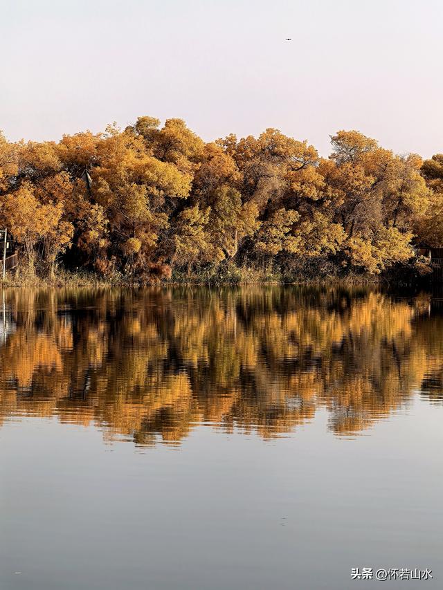 2025环南疆沙漠铁路背包自由行日记(6)---游览巴楚红海胡杨林景区