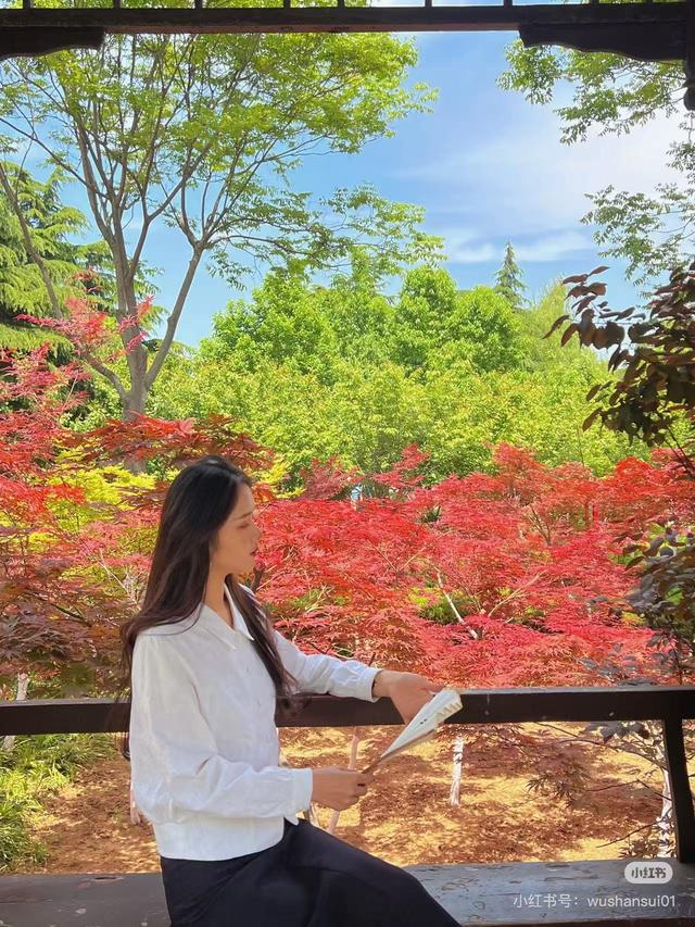临沂秋日捡秋啦 | 把秋天，装进你的时间胶囊~