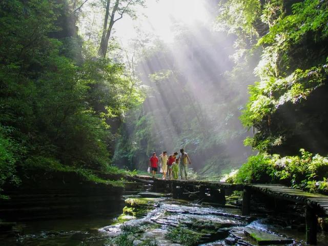 一位仙居人的旺苍情书：从仙居到旺苍，爱你是跨越千里的奔赴！