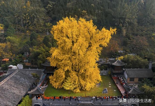 全部免费！秋天8个情侣游好去处推荐！