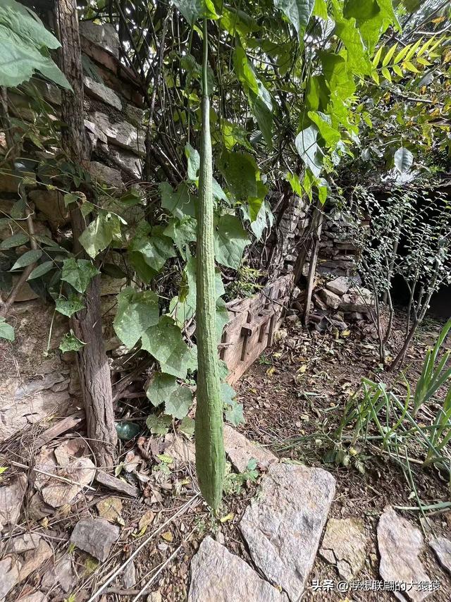 莱芜禹王山顶有座明初建立的古村：东平洲