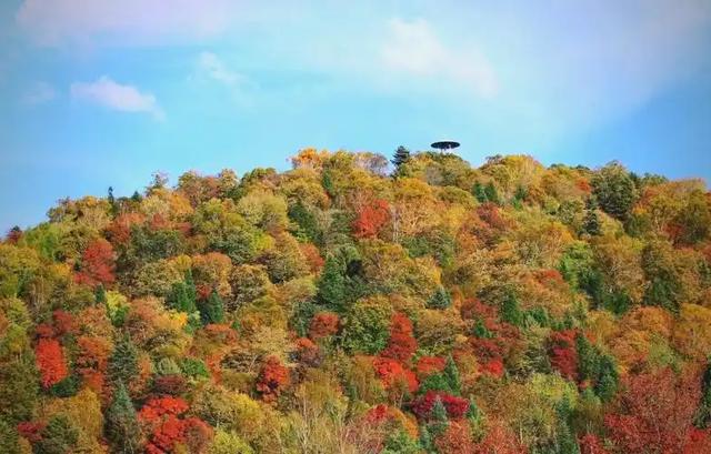 长白山 22 万人挤爆!央媒 200 篇 ,社媒 20 亿曝光!东北秋游火得非偶然
