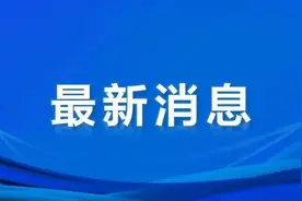 突发，红星美凯龙创始人被立案调查图片