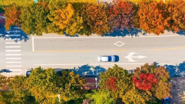 打卡限时浪漫，一键收藏隐珠街道最美秋色！