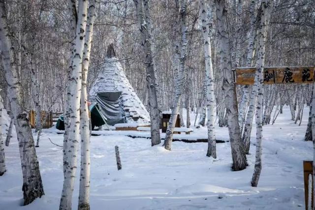 热雪燃冬，呼伦贝尔值得！