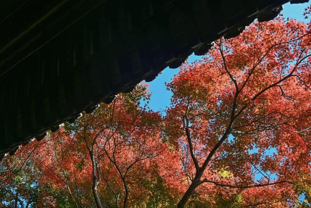 这里是江南诗词最多的城市,它的美有谁懂?