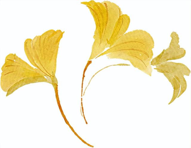 火爆！莱州这个地方格外热闹！