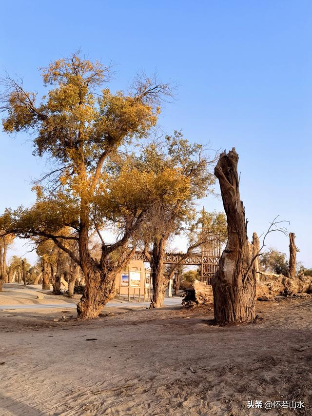 2025环南疆沙漠铁路背包自由行日记(6)---游览巴楚红海胡杨林景区