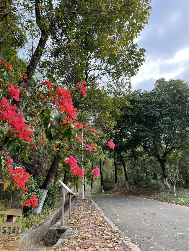 八达岭同款“小长城”，就藏在这座山林中，是一处徒步的绝佳之地
