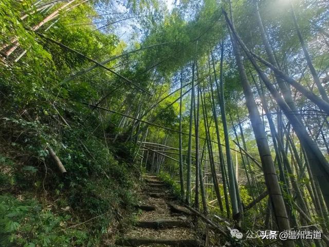 温州这里相传曾是仙人王子晋吹箫憩息之地,风光奇绝值得一去!